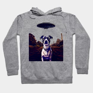 UFOs: My Dog Thinks UFOs Are Real on a light (Knocked Out) background Hoodie